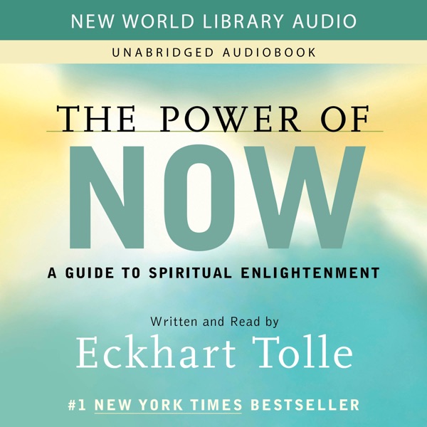 The Power of Now audiobook cover