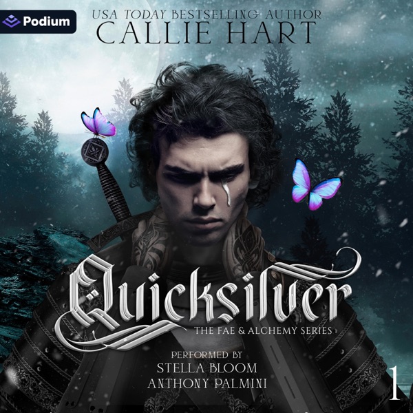 quicksilver audiobook cover