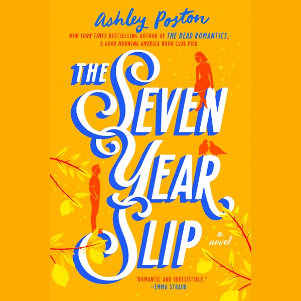 The Seven Year Slip audiobook cover